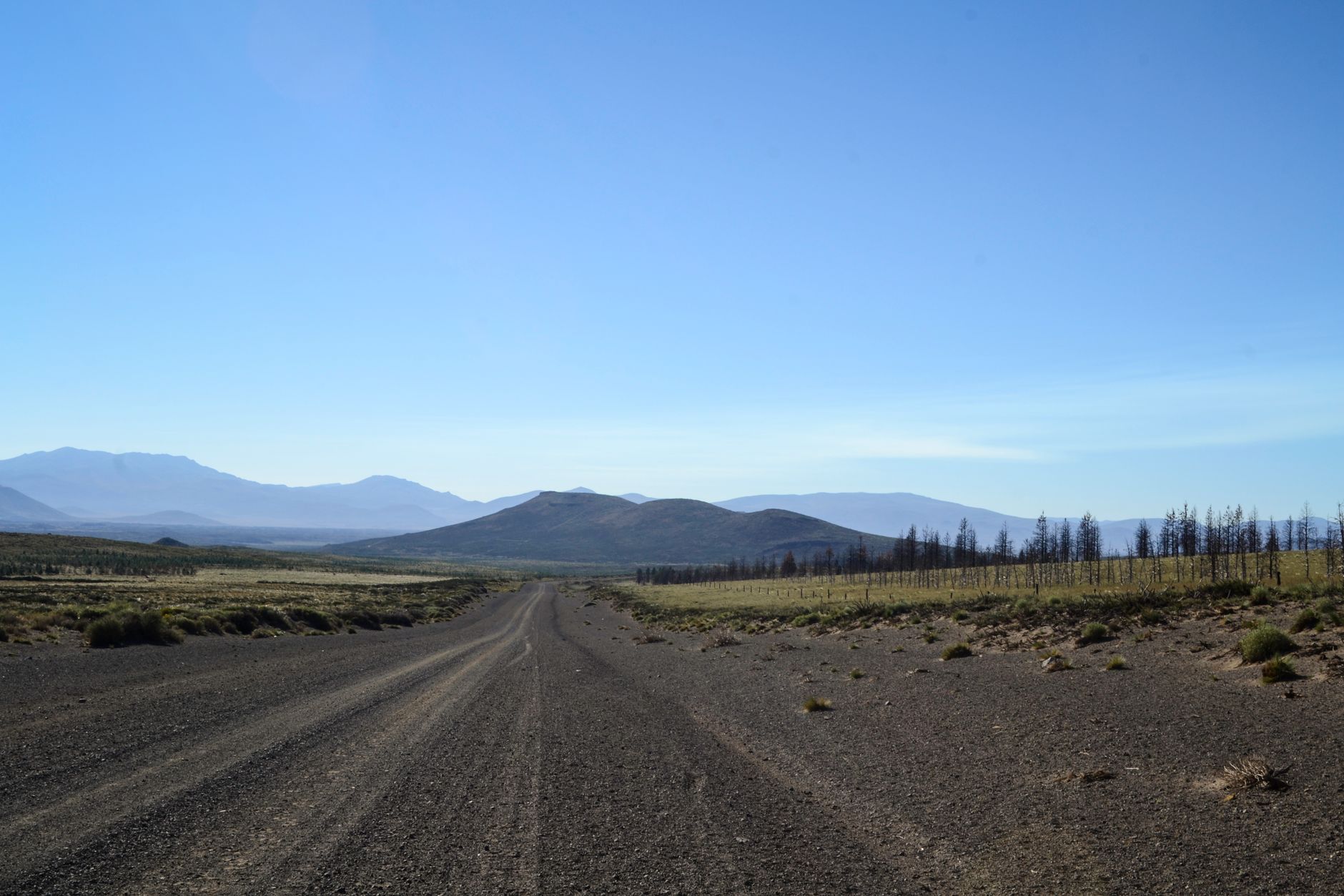 Tramo solitario de la ruta 40 atravesando cerros rojizos y cardonales